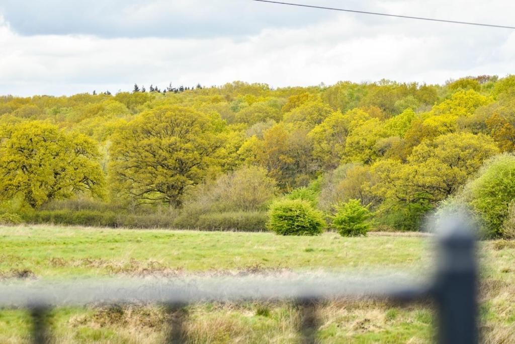 Hankerton The Lookout At Cloatley Meadow 아파트 외부 사진